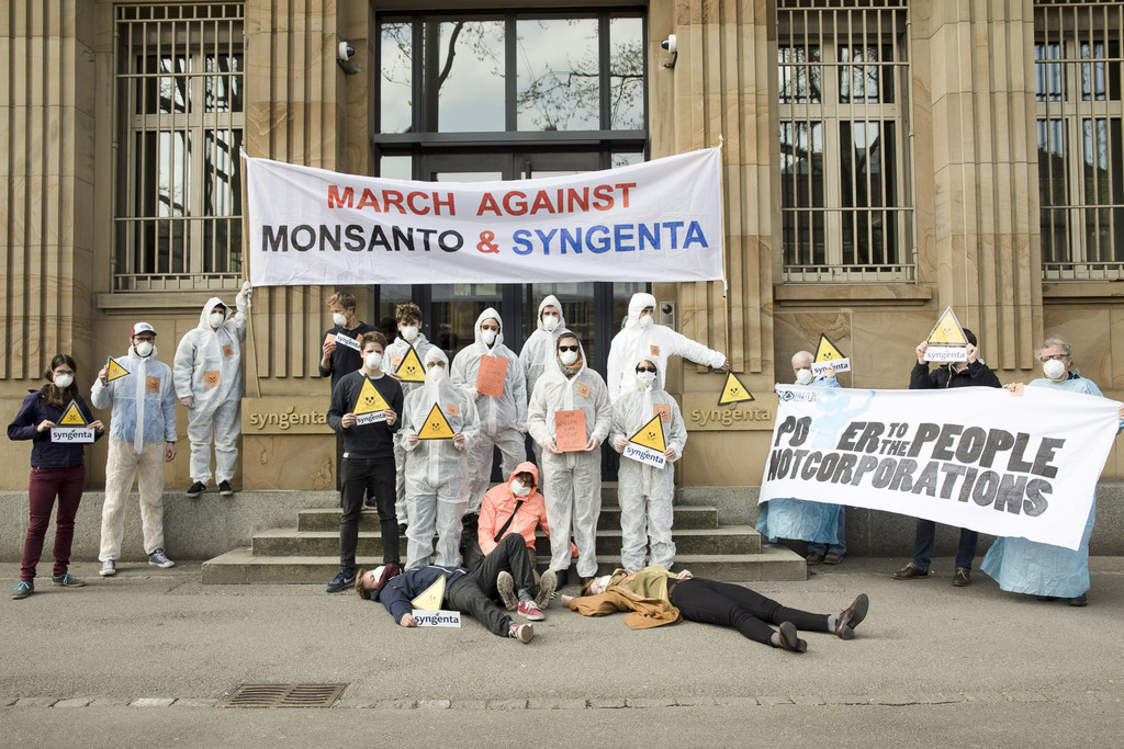 Syngenta Demo web 00