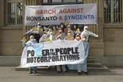 Syngenta-Demo-web-02