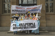 Syngenta-Demo-web-03