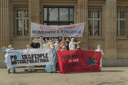 Syngenta-Demo-web-04