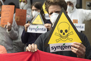 Syngenta-Demo-web-11