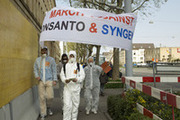 Syngenta-Demo-web-14
