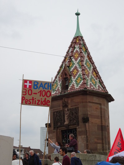 DSC05490.jpg